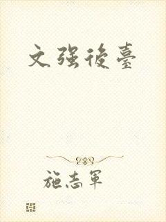 文强后台