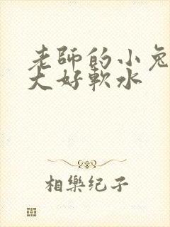 老师的小兔子好大好软水