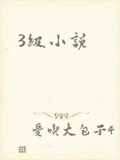 3级小说