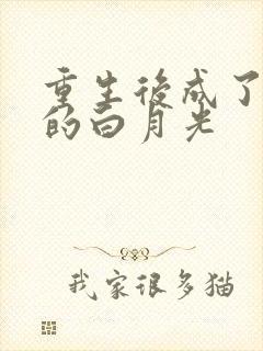 重生后成了皇帝的白月光