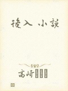 后入 小说