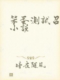 笨蛋测试召唤兽小说