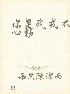 你是我戒不掉的心动