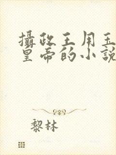 摄政王用玉髓整皇帝的小说