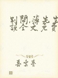 别闹,薄先生小说全文免费阅读