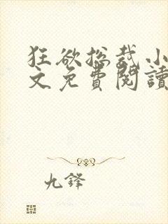 狂欲总裁小说全文免费阅读