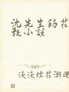 沈先生的花式管教小说