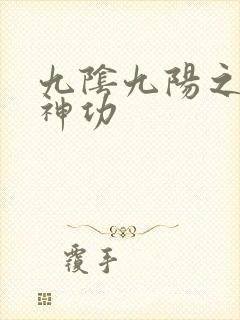 九阴九阳之阴阳神功