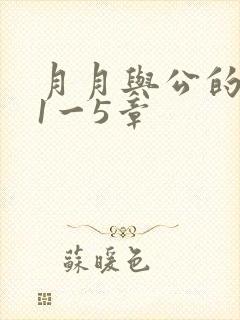 月月与公的激情1一5章