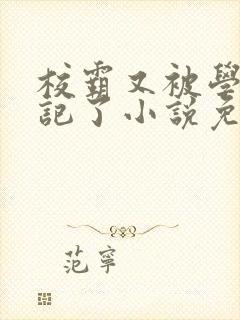 校霸又被学神标记了小说免费阅读