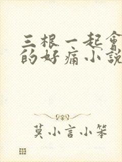 三根一起会坏掉的好痛小说