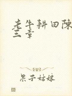 老牛耕田陈雪第三章