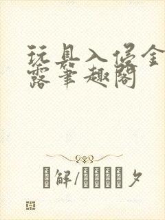 玩具入侵金银花露笔趣阁