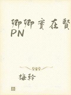 卿卿实在贤良NPN