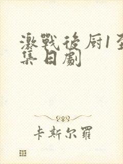 激战后厨1至5集日剧