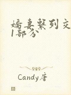 娇妻系列交换11部分