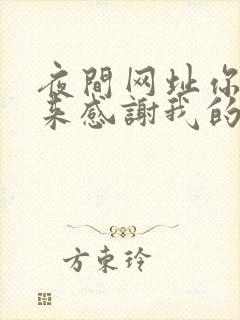 夜间网址你会回来感谢我的