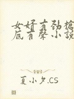 女婿有劲枪枪到底有声小说