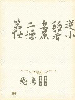 第二名的逆袭高仕德原著小说