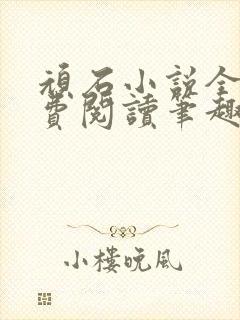 顽石小说全文免费阅读笔趣阁