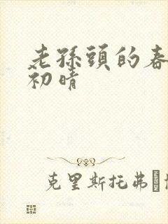 老孙头的春天林初晴