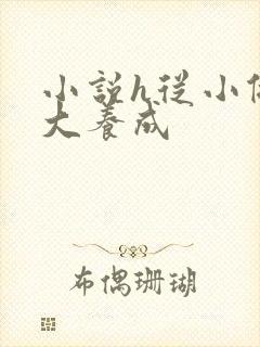 小说h从小做到大养成