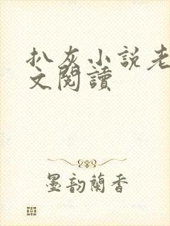 扒灰小说老马全文阅读
