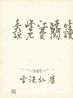 秦峰江晓晴的小说免费阅读