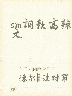 sm调教高辣h文