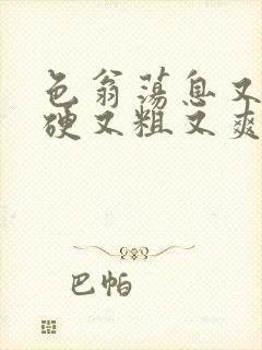 色翁荡息又大又硬又粗又爽