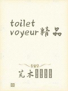 toilet voyeur精品