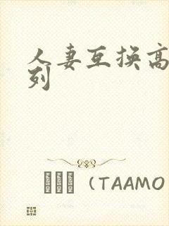 人妻互换高h系列