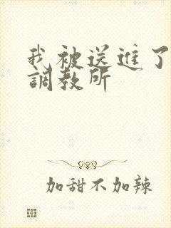 我被送进了私奴调教所