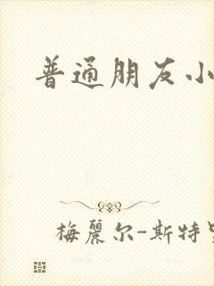 普通朋友小说