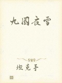 九国夜雪