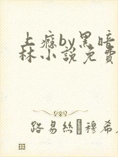 上瘾by黑暗森林小说免费