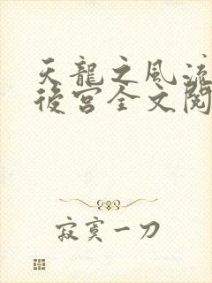 天龙之风流猎艳后宫全文阅读