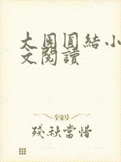 大团圆结小茹全文阅读