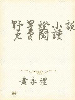 野星灯小说全文免费阅读