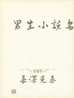 男生小说名字