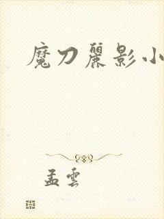 魔刀丽影小说