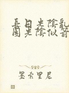 长日光阴乱作一团光阴似箭必读