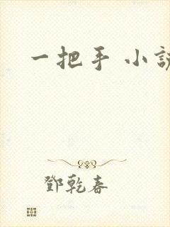 一把手 小说