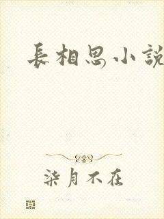 长相思小说原著