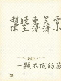 赵晓东吴雪晴郑伟王潇潇小说名字