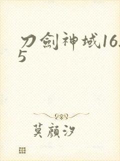 刀剑神域16.5