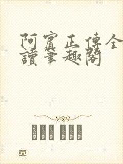 阿宾正传全文阅读笔趣阁