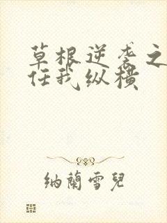 草根逆袭之都市任我纵横