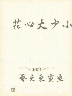 花心大少小说