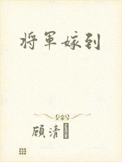 将军嫁到